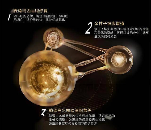 量化交易给理财者带来了怎样的红利与风险？